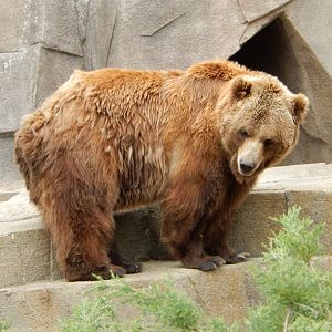 5/17/2017 - Borealis