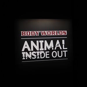 5/17/2017 - Body Worlds: Animal Inside Out