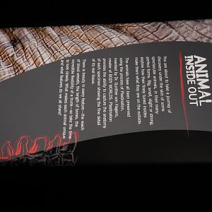 5/17/2017 - Body Worlds: Animal Inside Out - Info Sign