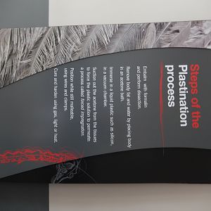 5/17/2017 - Body Worlds: Animal Inside Out - Plastination Explained