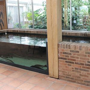 Sturgeon-enclosure - in the Restaurant
