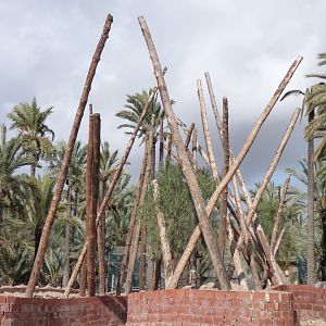 Construction of new islands