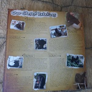 Chimp ID Signage