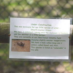 Signage for the Arrival of Otter Species Number Five at Chestnut, 14/05/17