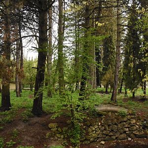 Striped hyena enclosure