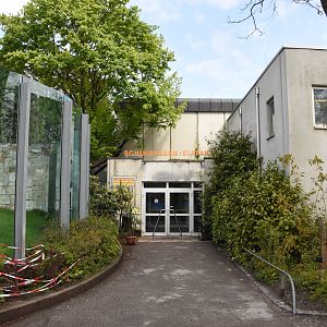 Chimpanzee and elephant house