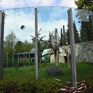 Chimpanzee outdoor enclosure