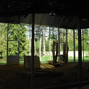 Hyena indoor enclosure