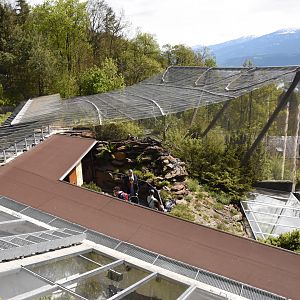 Terrarium and Waldrapp aviary
