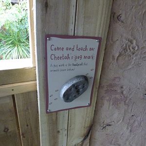 Interactive Signage in the new Yurt