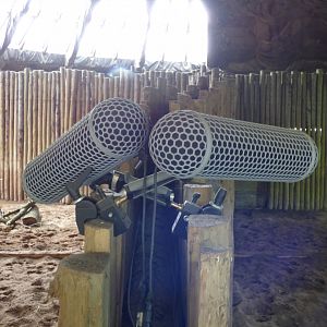 Microphones in the Rhino House for series 4 of SLOTZ