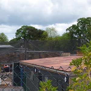 New Tapir House and Aviary- Islands