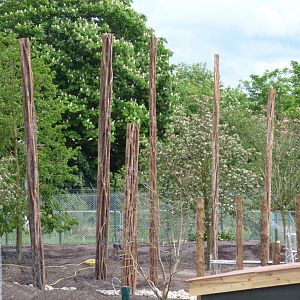 New Sun Bear Enclosure- Islands
