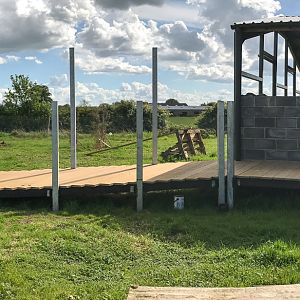 Future exhibit (construction progress) : Hamerton : 14 May 2017