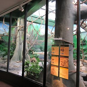 Rainforest exhibit