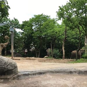 Elephant Reserve