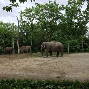 Elephant Reserve