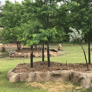 18557388_10213297621336659_3424548452469168079_n