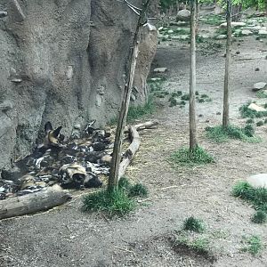 18581612_10213297630056877_7510641736931316371_n