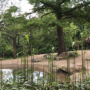 Rhino Reserve- Indian Rhinoceros