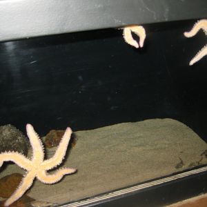 Fiskeri- og Søfartsmuseet - Mixed tank