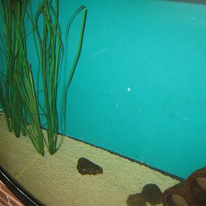 Fiskeri- og Søfartsmuseet - Mixed tank