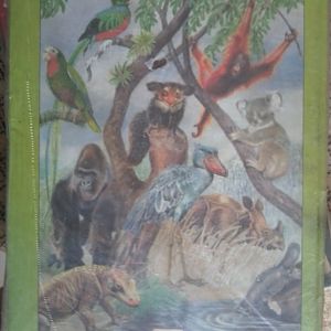 One of the earliest zoology books that I have got