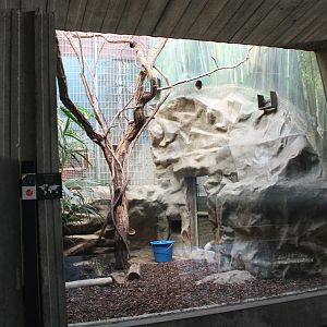 Goeld'is monkey enclosure