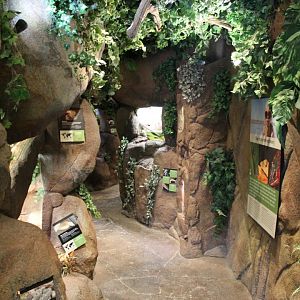 View in the Serpentarium