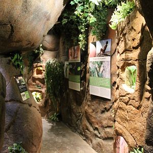 View in the Serpentarium