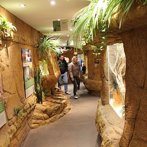 View in the Serpentarium