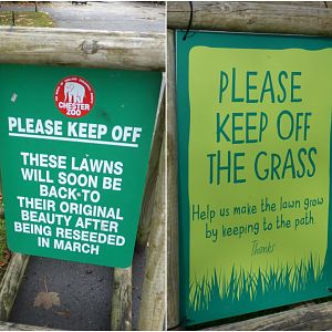 Out with the old....In with the new