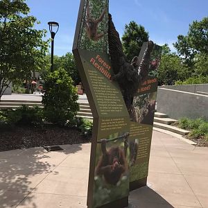 International Orangutan Center