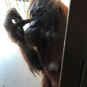 18581500_10213305711098898_1656631862106848433_n