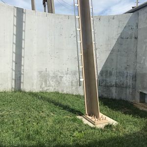 International Orangutan Center