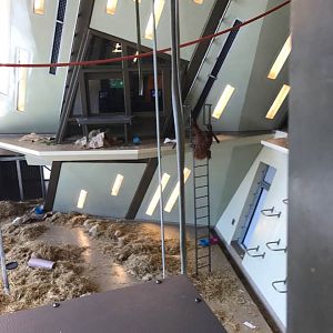 International Orangutan Center