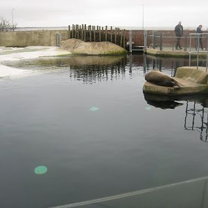 Fiskeri- og Søfartsmuseet - Sealarium