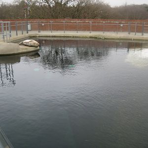 Fiskeri- og Søfartsmuseet - Sealarium