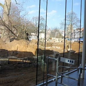 Construction new Savanna