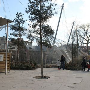 View at Buffalo-enclosure