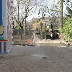 Elephants outdoor-enclosure