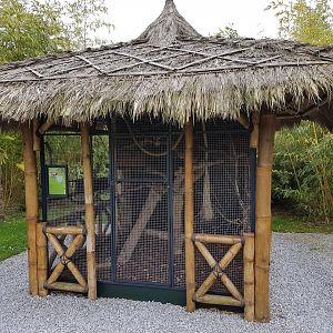 Enclosure Japanese squirrel