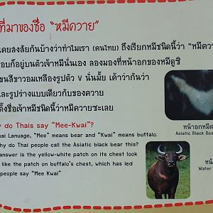 Asiatic Black Bear signage