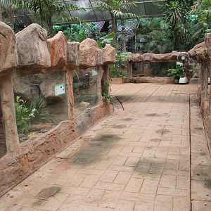 indoor chelonian terrariums