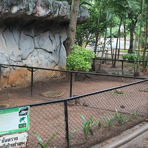 outdoor tortoise pens