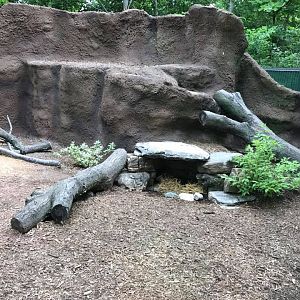 Children's Zoo- Tasmanian Devil