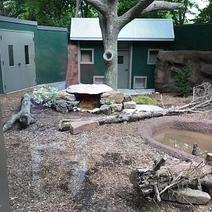 Children's Zoo- Tasmanian Devil