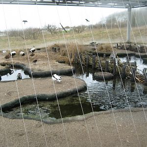 Fiskeri- og Søfartsmuseet - Wadden Sea Pavilion - Aviary