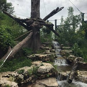 River's Edge- Sun Bear