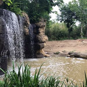 River's Edge- Asian Elephant